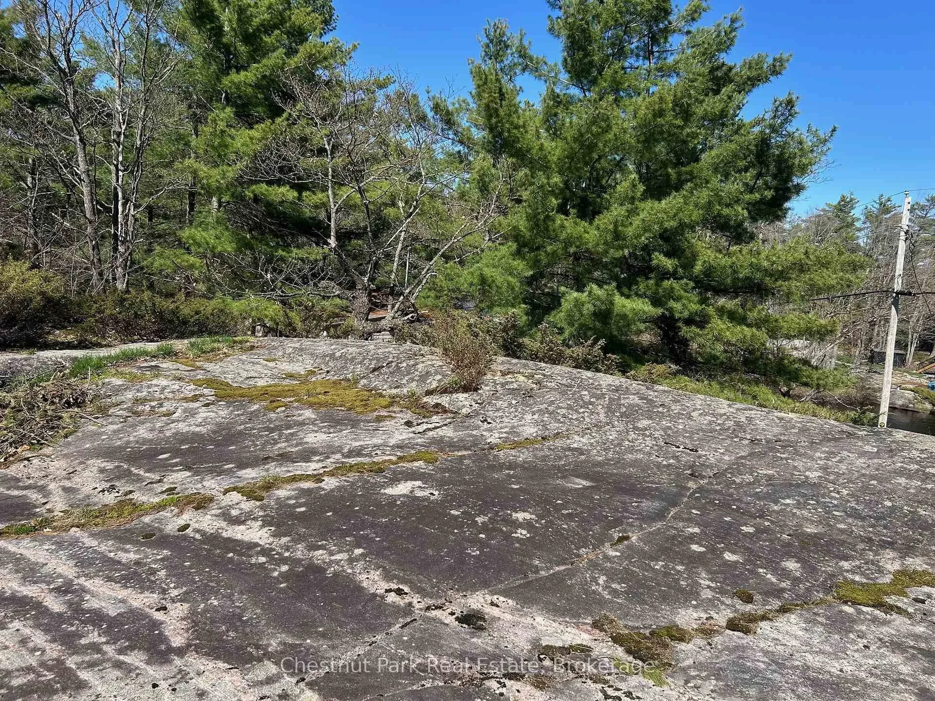 1 & 2 -1051 WIGWAM LODGE Road, Gravenhurst, Ontario, Canada. - Photo 6