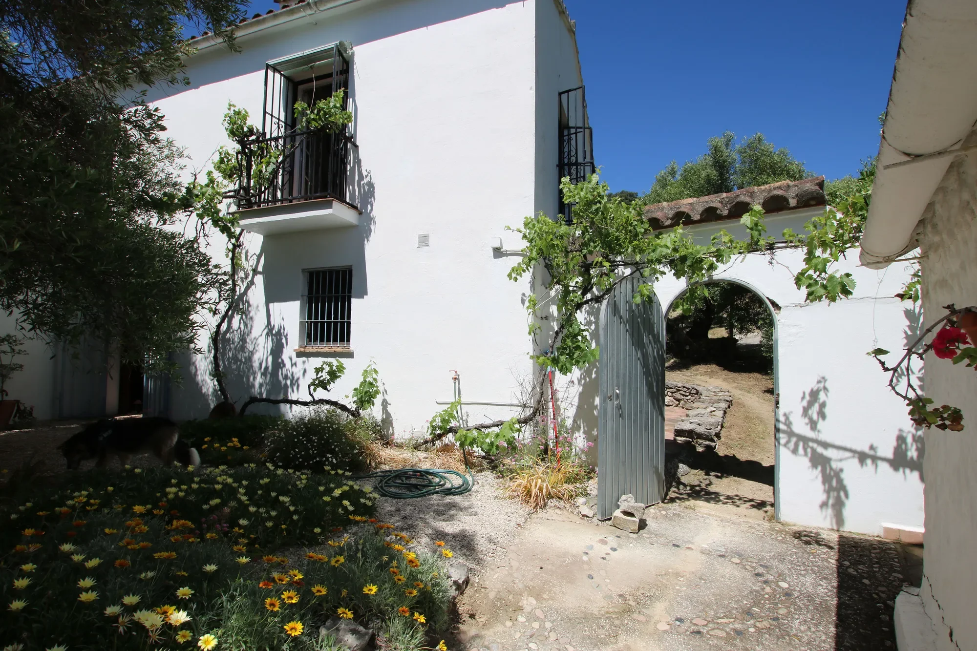 Gallery photo 11