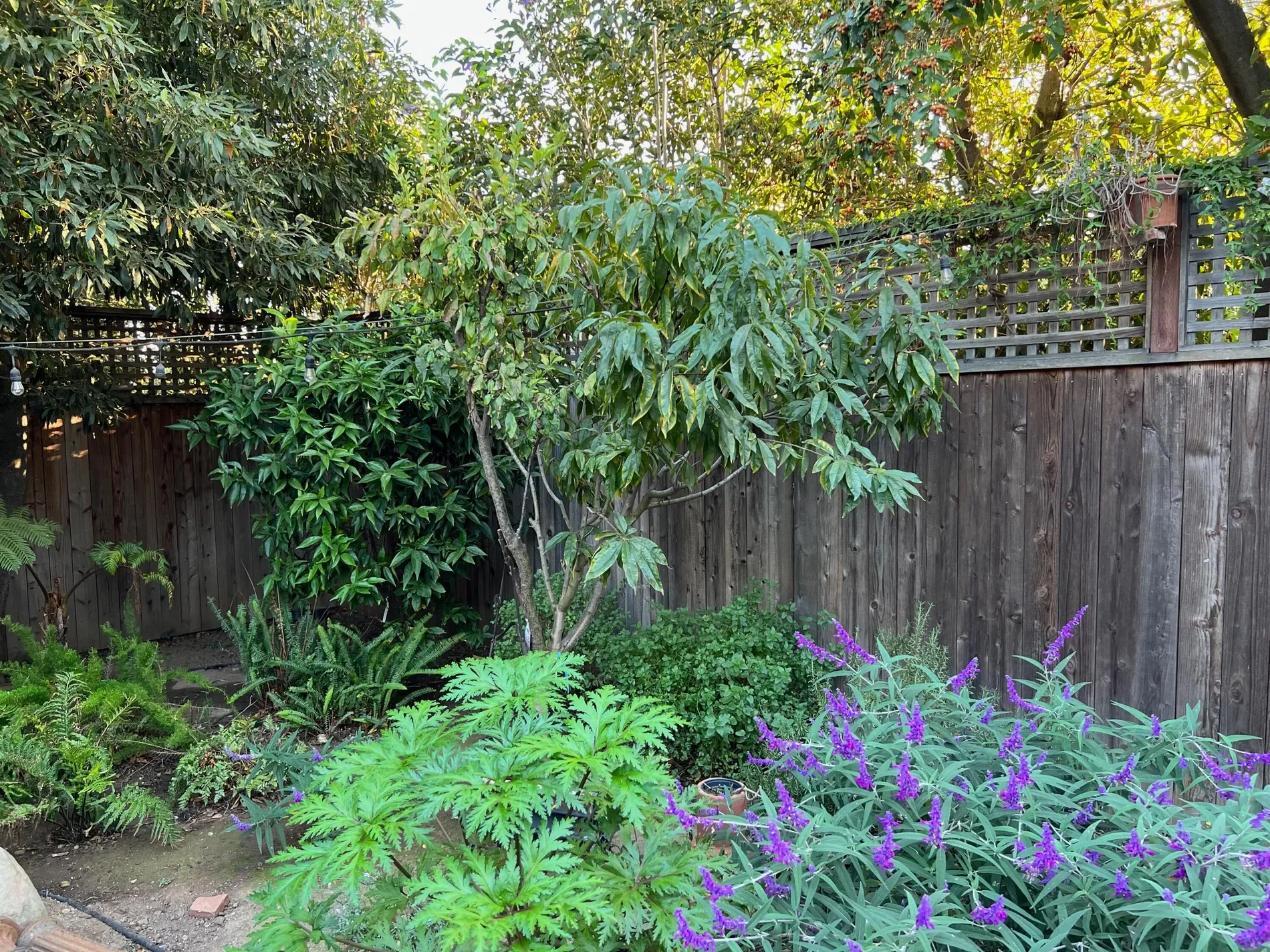 118 E Islay Street, Santa Barbara, California, United States. - Photo 14