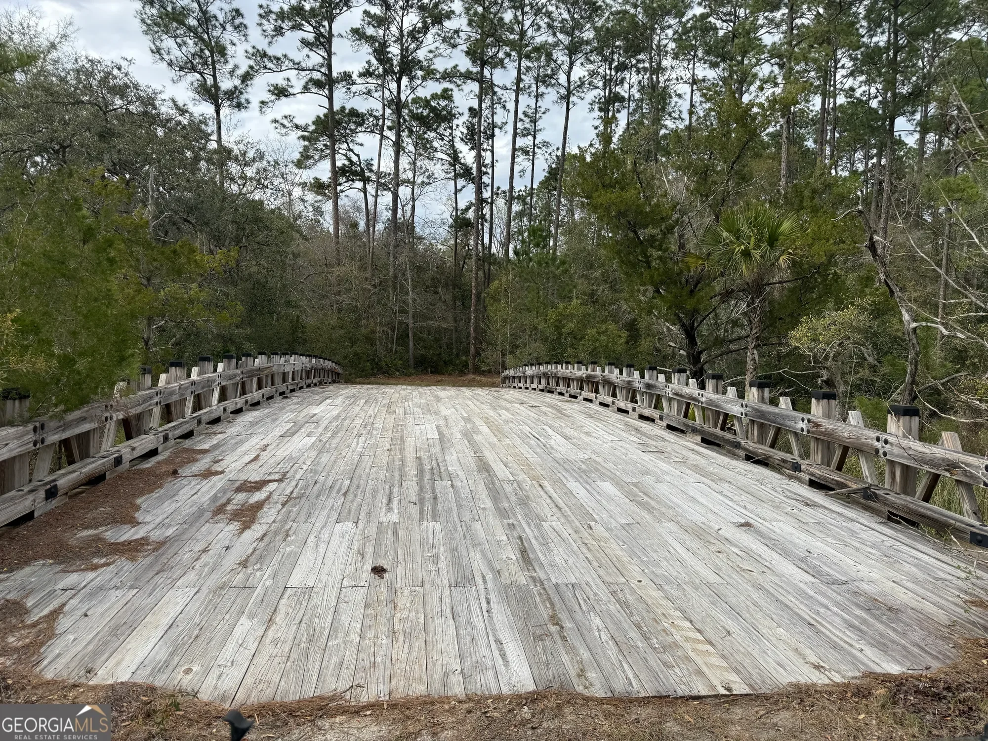 0 US HWY 17, Waverly, GA 31565, Waverly, Georgia, United States. - Photo 5