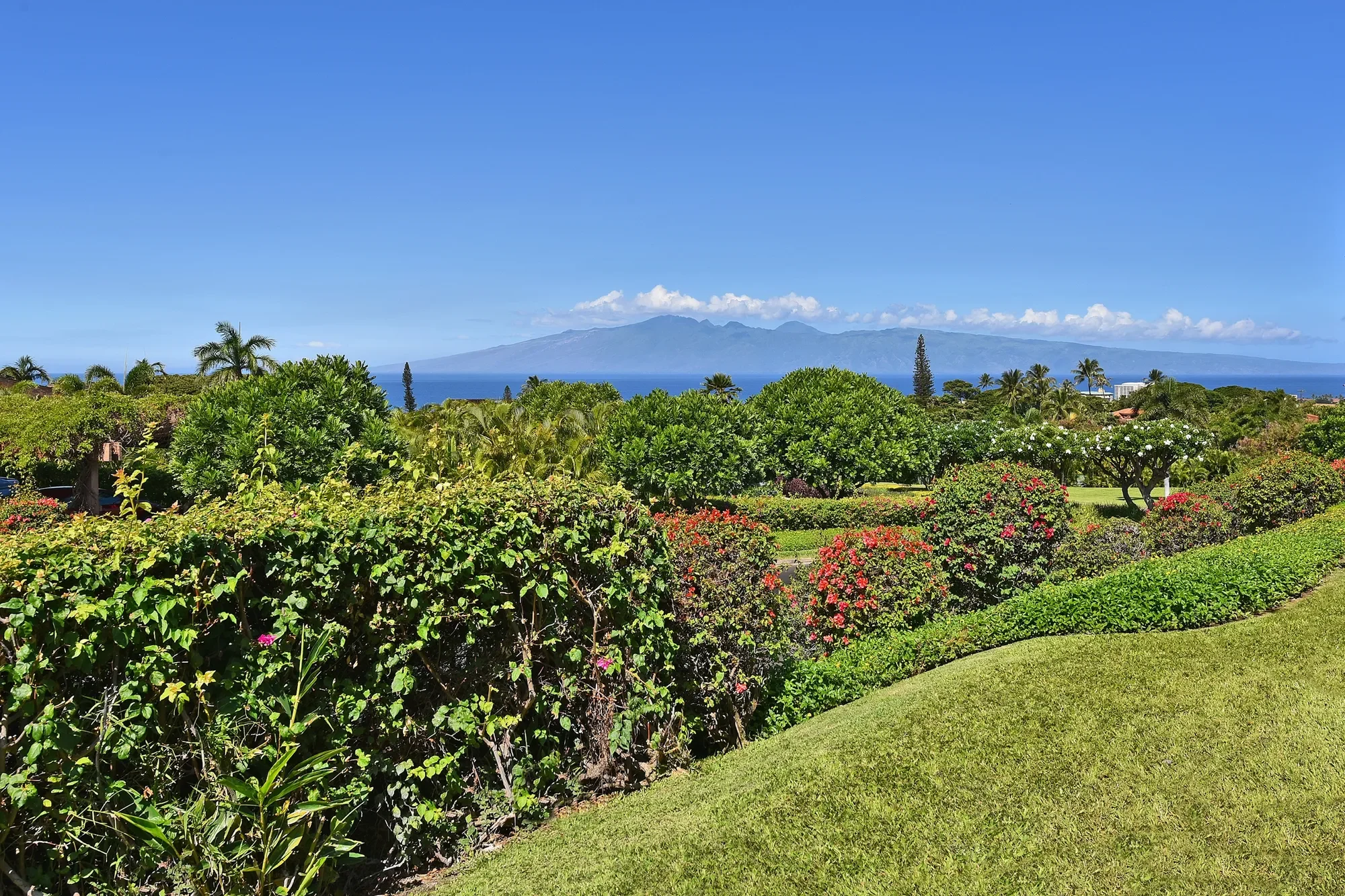 Masters #4207 50 Puu Anoano Street, Lahaina, HI 96761, Lahaina, Hawaii, United States. - Photo 15
