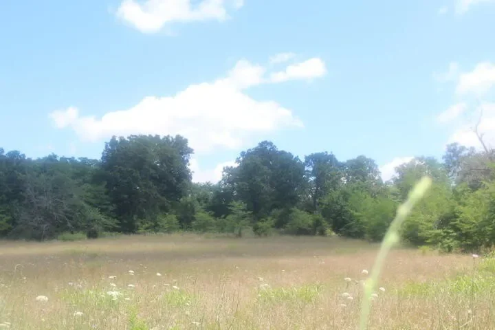 3176 S 170th Road, Polk, MO 65727, Bolivar, Missouri, United States. - Photo 67