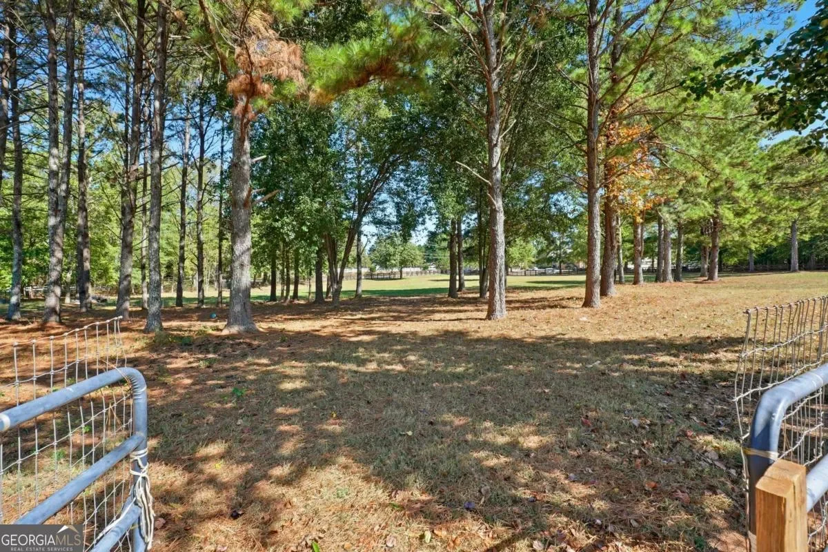 Hampton, Georgia, United States. - Photo 49