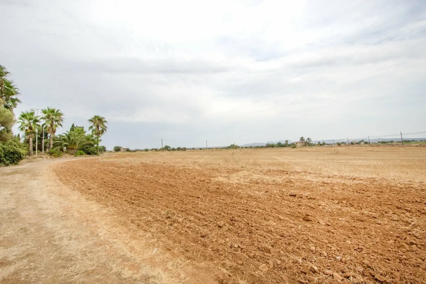 Charming finca with 45.800 m2 and a lot of potential