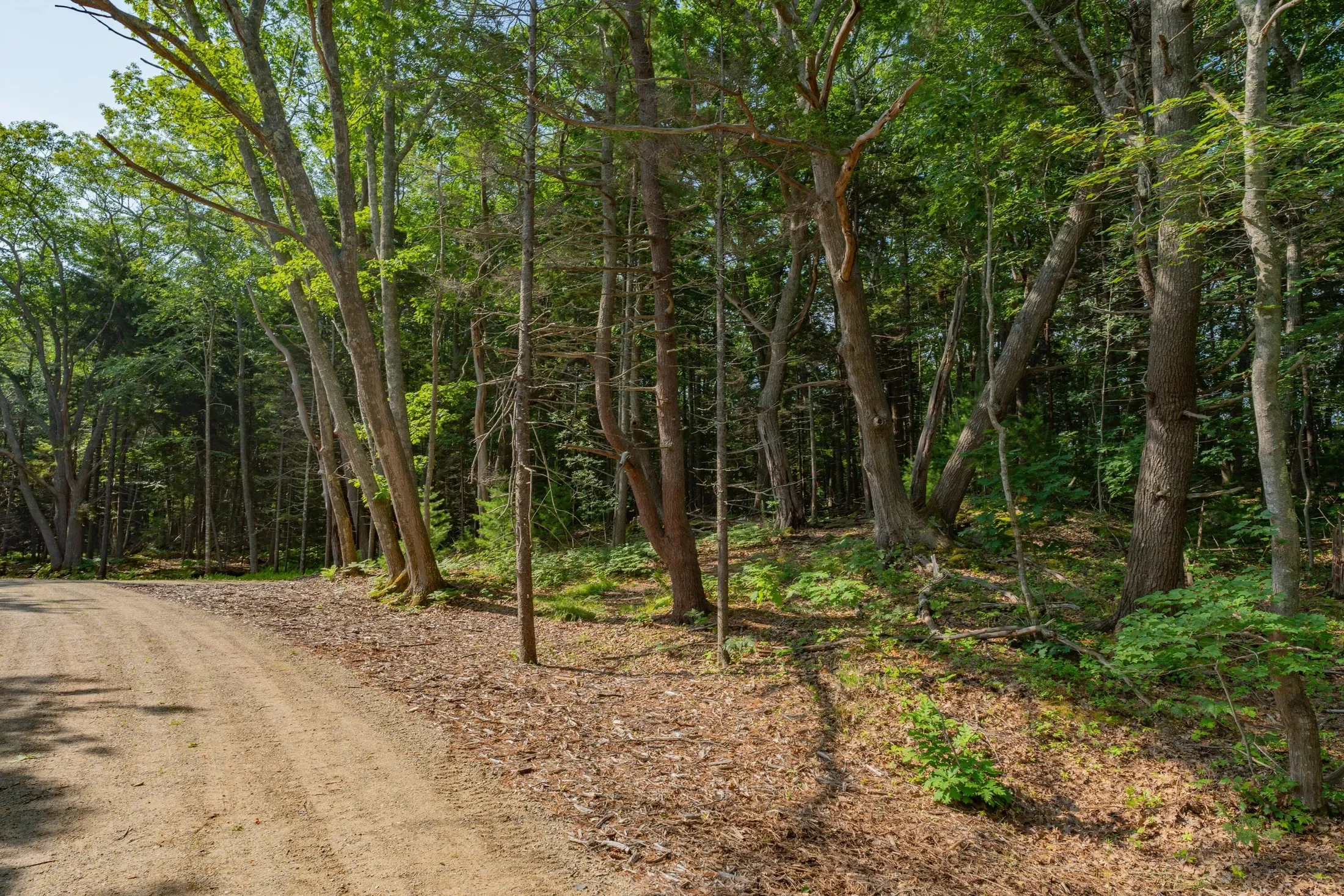 2A Ivy Lane, Kennebunkport, ME 04046, Kennebunkport, Maine, United States. - Photo 8