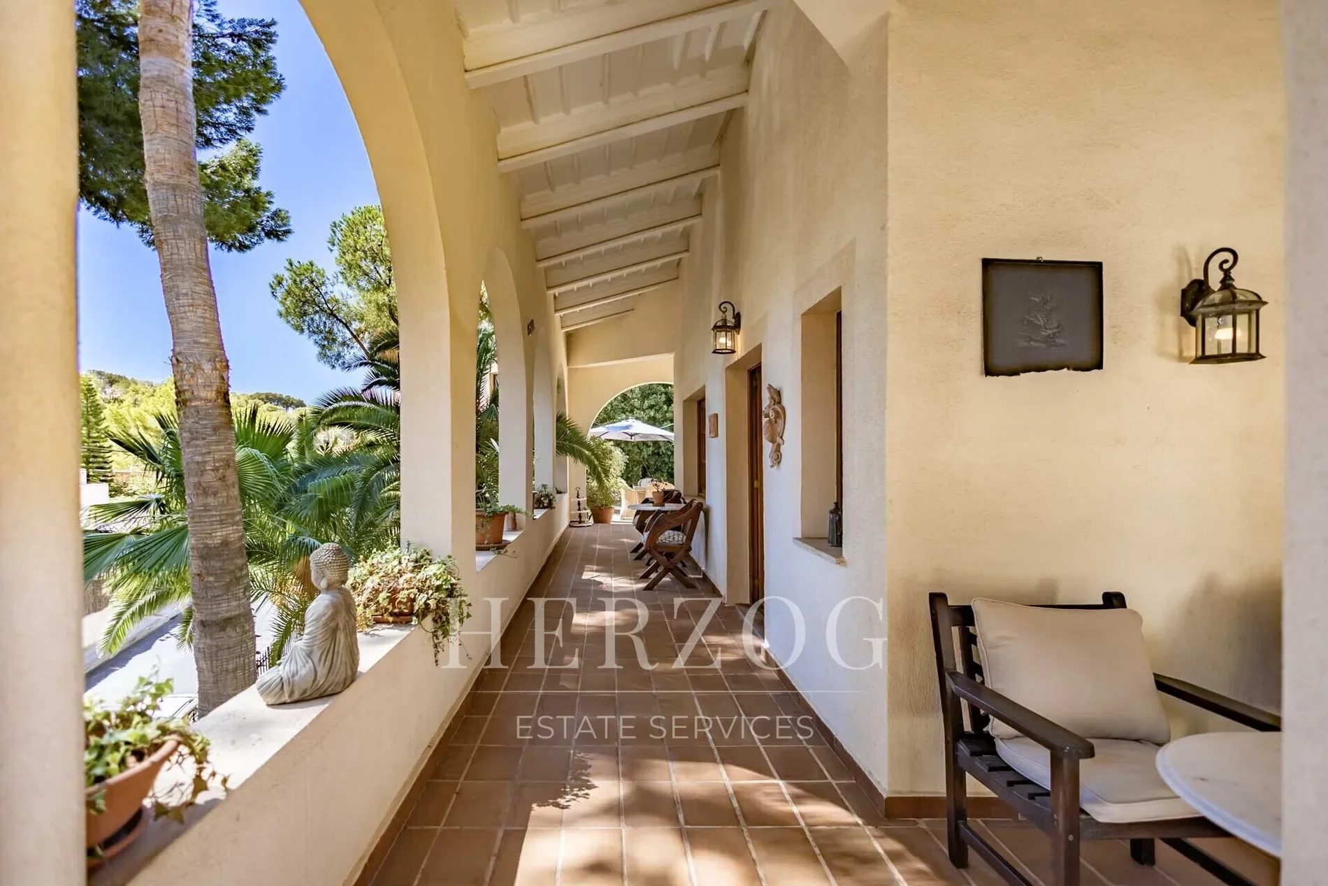 Carrer llimonera, Cala Fornells, Calvia, Balearic Islands. - Photo 10