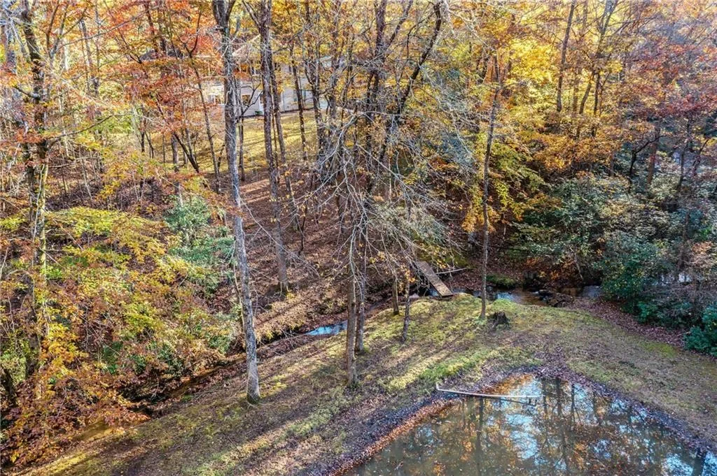 339 Wehunt Road, Blue Ridge, Georgia, United States. - Photo 68