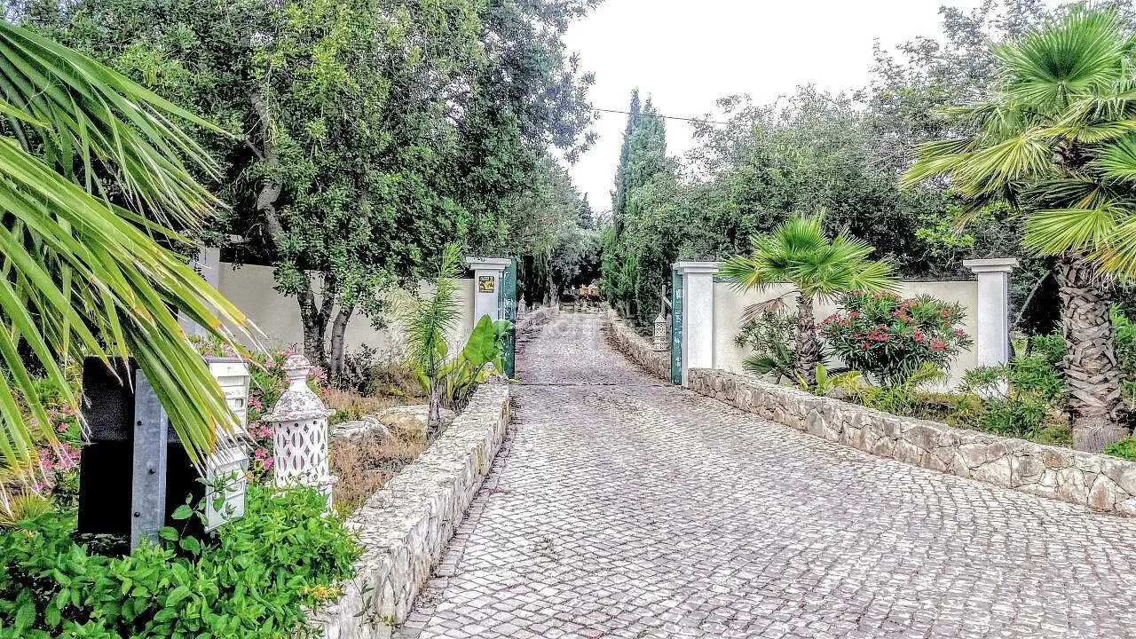 Estoi, Algarve, Estoi, Estoi, Algarve, Portugal. - Photo 13