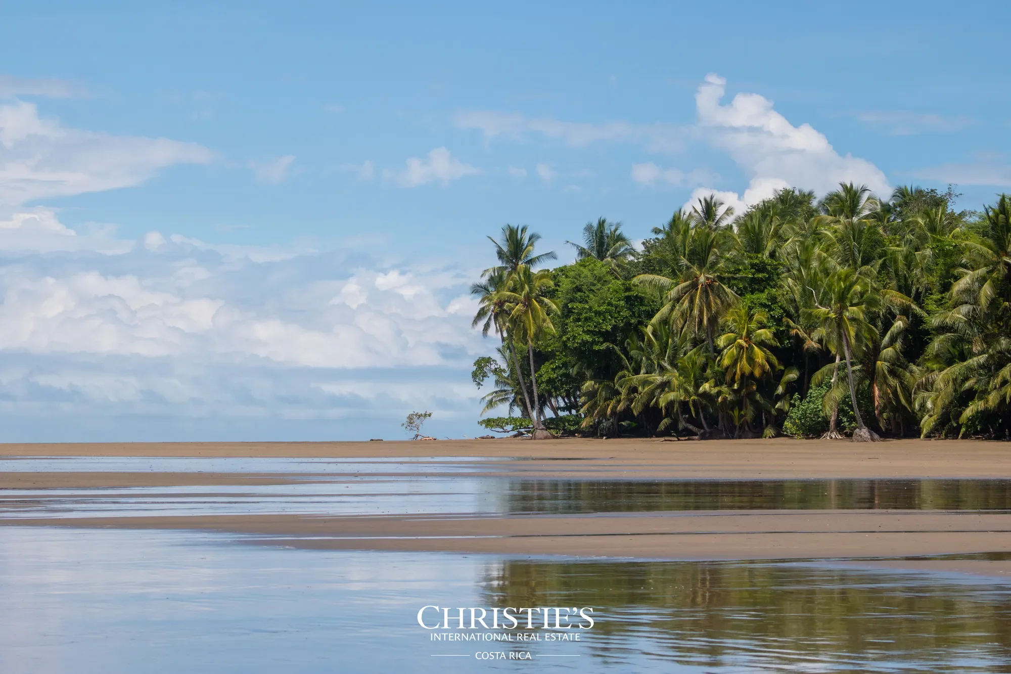 657Q+6R3, Puntarenas Province, Uvita, Costa Rica, Uvita, Puntarenas Province, Costa Rica. - Photo 45