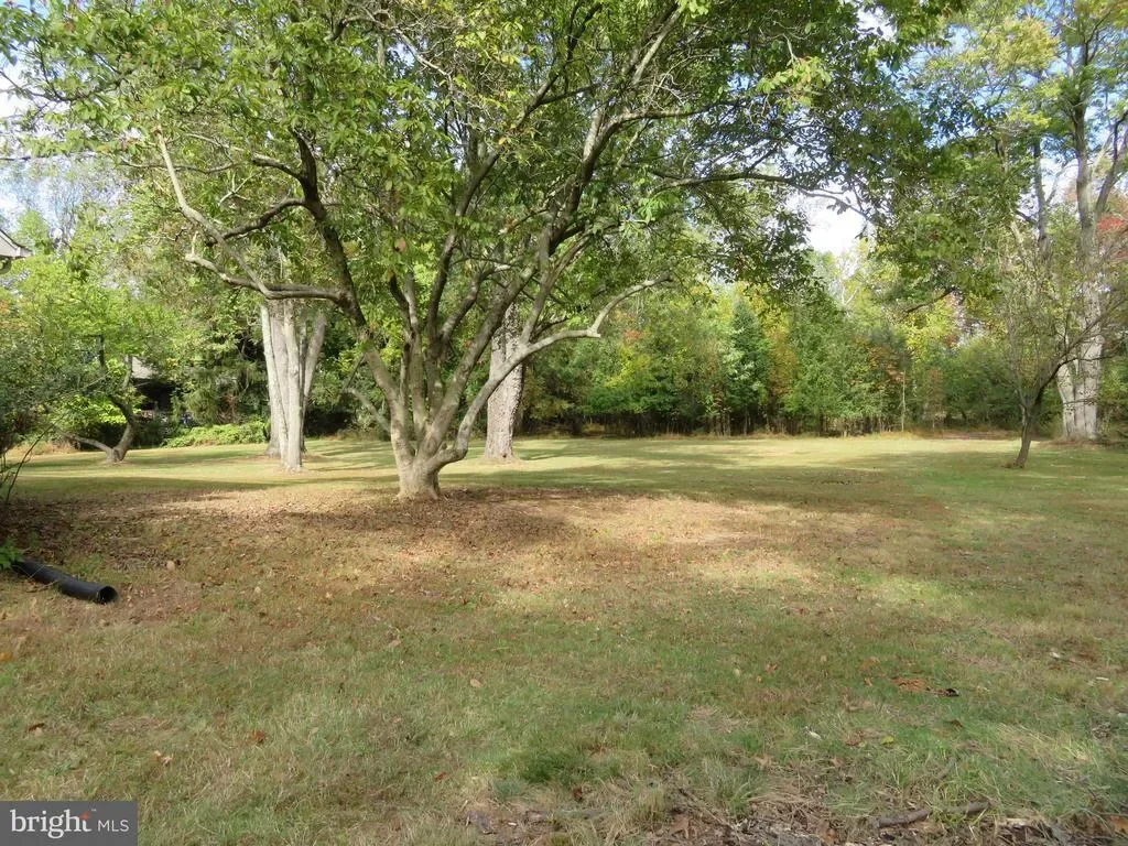 Gallery photo 12