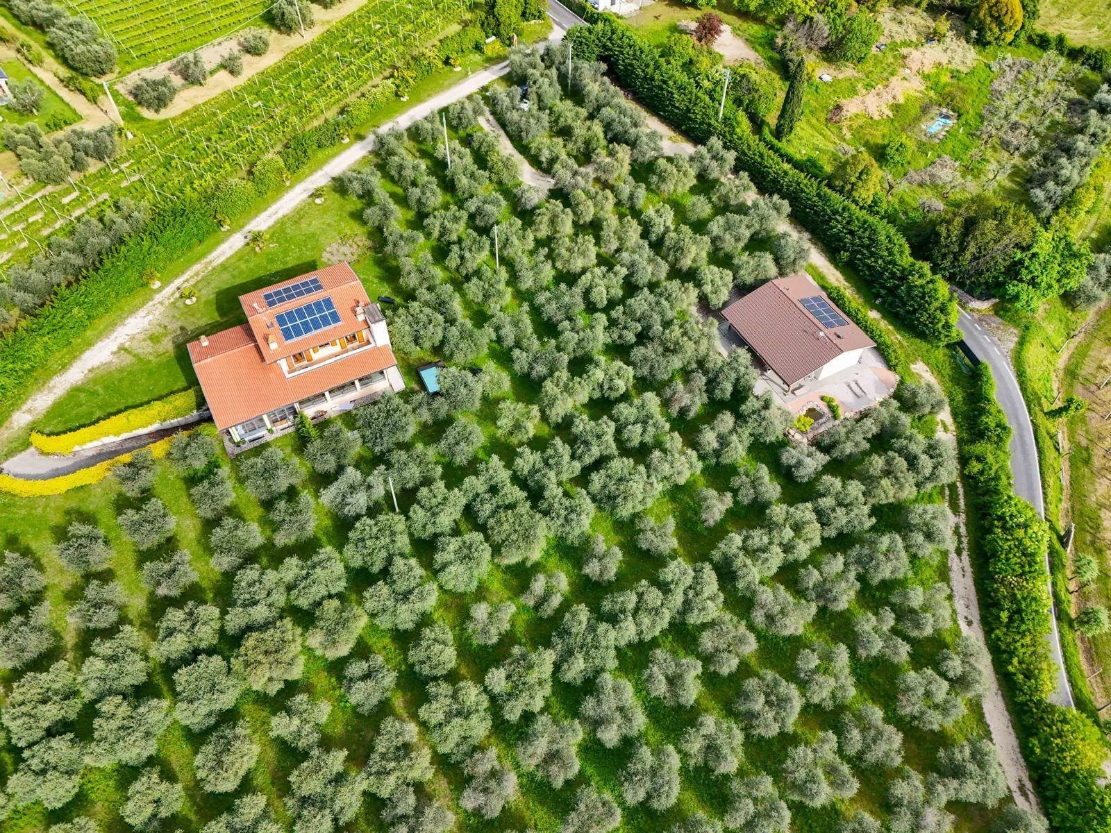 Strada Corubbio, Bardolino, Veneto, Italy. - Photo 19