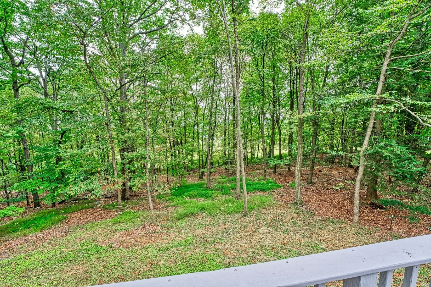 37740 Long Lane, Lovettsville, VA 20180, Lovettsville, Virginia, United States. - Photo 39