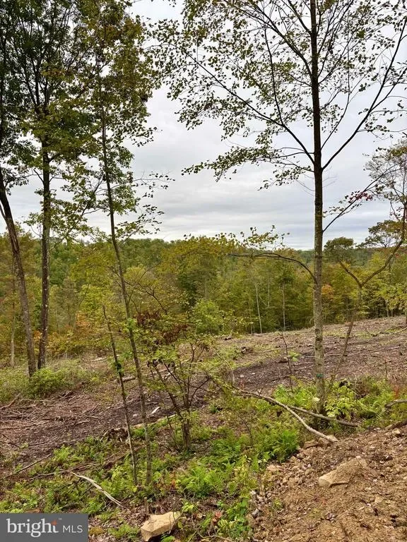 2500 BEECH CREEK MOUNTAIN RD ROAD, BEECH CREEK, PA 16822, Beech Creek, Pennsylvania, United States. - Photo 17