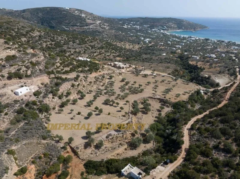Community of Apollonia, Aegean, Greece. - Photo 7