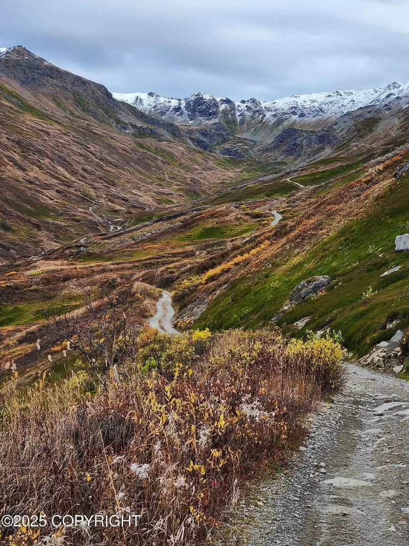 Mile 18 Willow-Fishhook Road, Willow, AK 99688, Willow, Alaska, United States. - Photo 15
