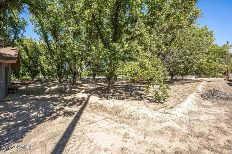 4460 Overlook Lane, Las Cruces, NM 88007, Las Cruces, New Mexico, United States. - Photo 66