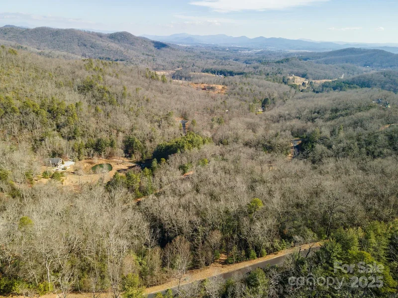 99999 Mills River Way 108, Horse Shoe, North Carolina, United States. - Photo 15