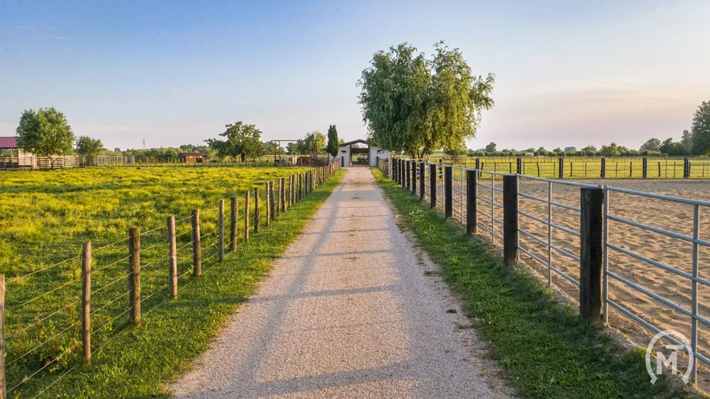 Ranch per l'allevamento di cavalli sportivi e l'allevamento di bovini ad Aiello del Friuli - Italia