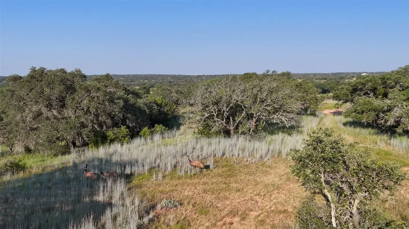 680 County Road 549, Mullin, TX 76864, Mullin, Texas, United States. - Photo 2