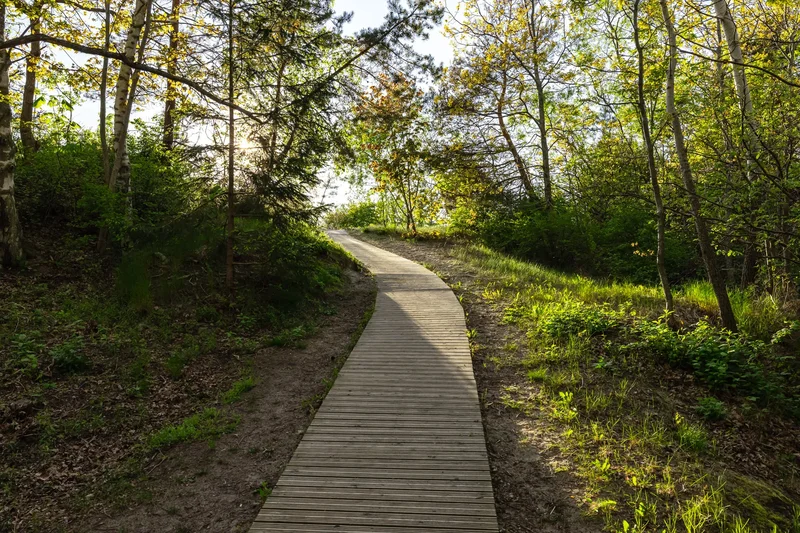 Skautu St, Klaipeda, KlaipÄ—da, KlaipÄ—da County, Lithuania. - Photo 17