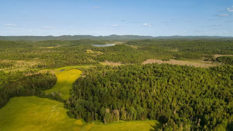 Ch. de la Chute, Mulligan Ferry, Quebec, Canada. - Photo 8