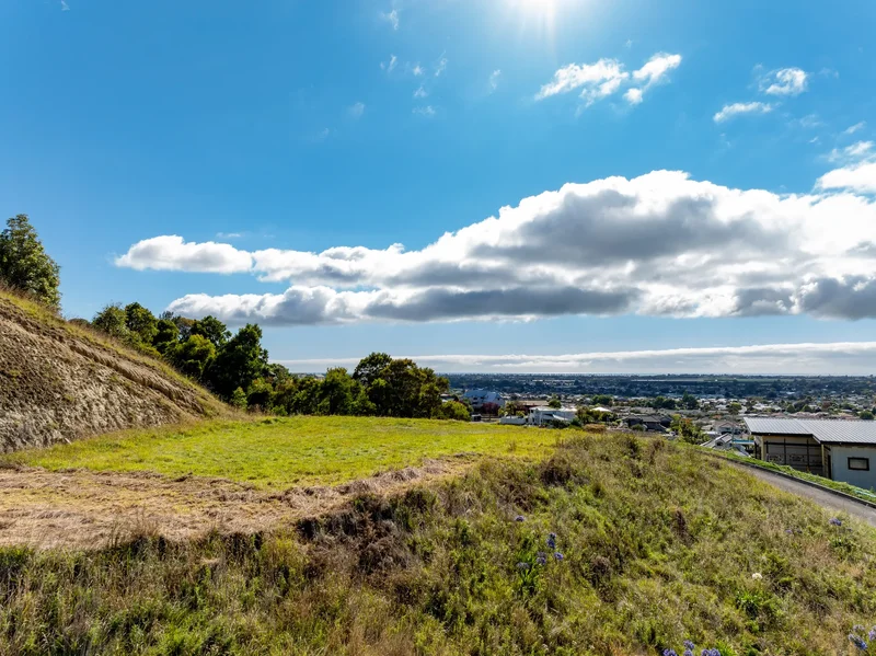 14 Ridgeway Terrace Taradale, Napier, HKB 4112, Napier, Hawke's Bay, New Zealand. - Photo 7