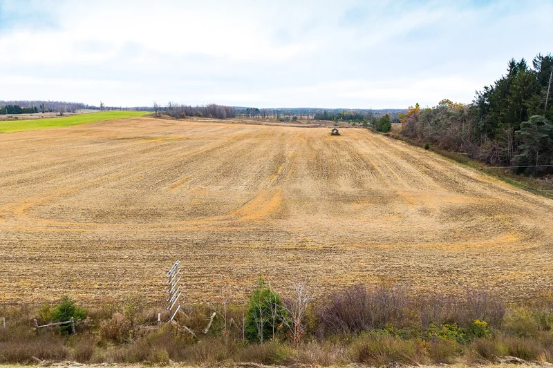 793958 Grey Road 124, Grey Highlands, ON N0C 1M0, Singhampton, Ontario, Canada. - Photo 16