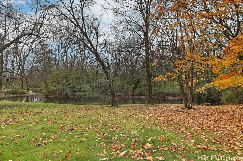 11 Lakewood Drive, Bannockburn, IL 60015, Riverwoods, Illinois, United States. - Photo 50