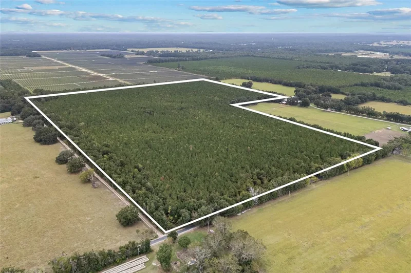 TBD NW 142ND AVENUE, HIGH SPRINGS, FL 32643, High Springs, Florida, United States. - Photo 4