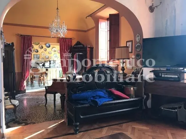 Gallery photo 7