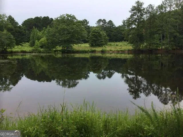 111 Mitchell Road, Fayetteville, GA 30214, Fayetteville, Georgia, United States. - Photo 11