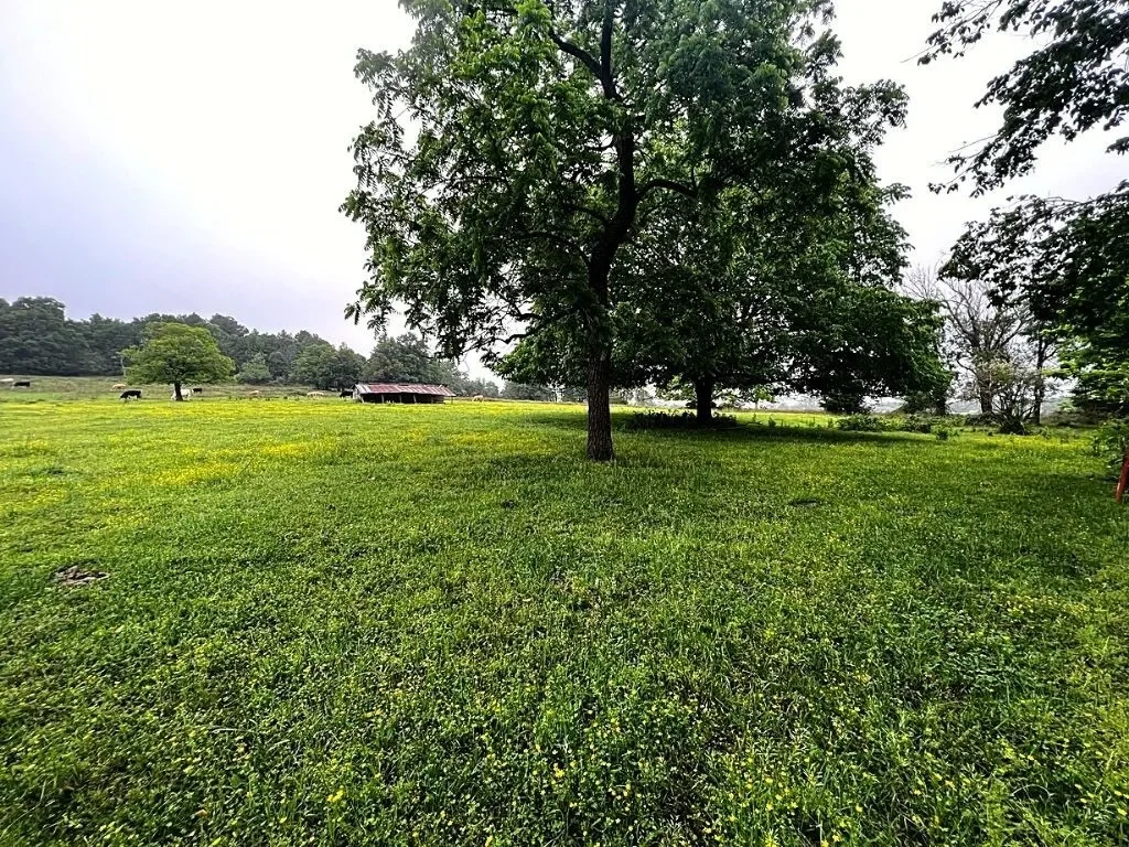 Gallery photo 12