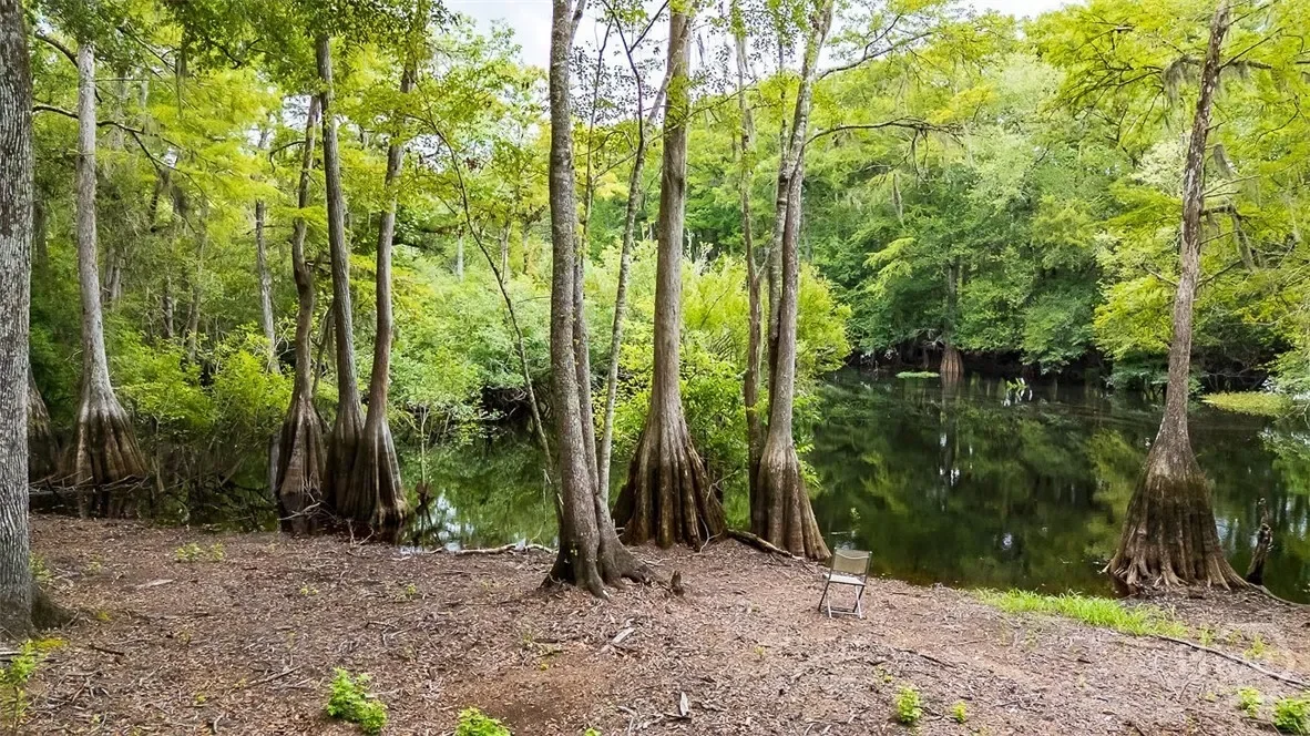 131 High Bluff Road, Rincon, Georgia, United States. - Photo 46