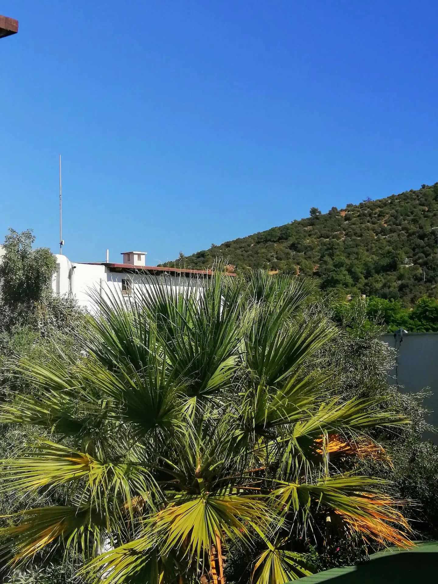 Torba, Bodrum, Torba, Muğla, Turkey. - Photo 18