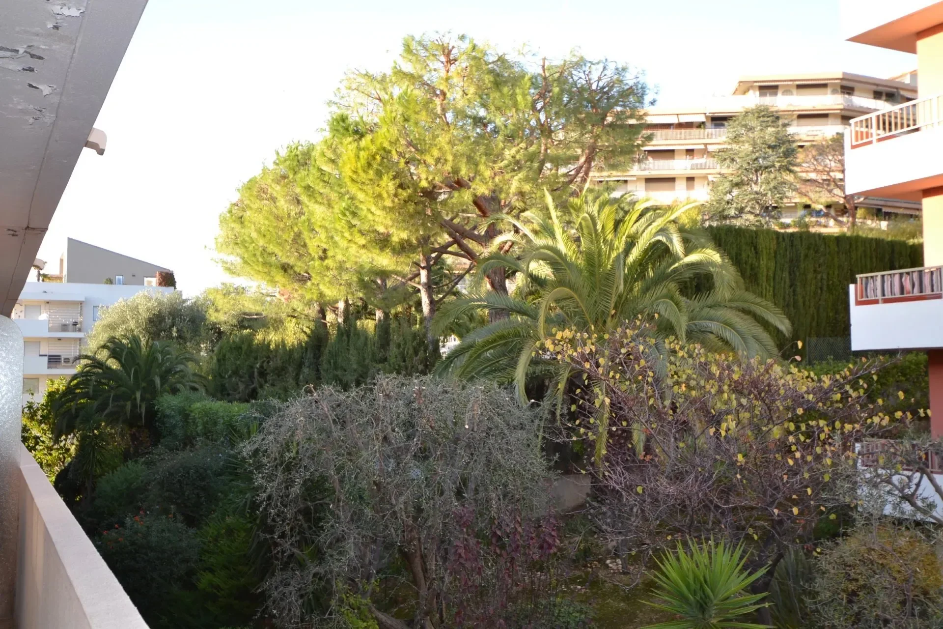 Nice, Provence-Alpes-Côte d'Azur, France. - Photo 13