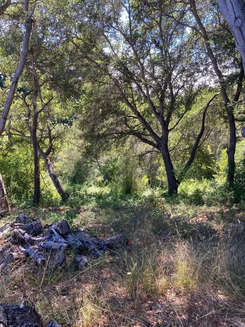 514 Meder Street, Santa Cruz, California, United States. - Photo 6