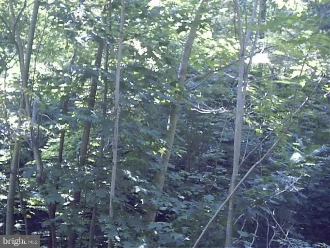 Quaker Run Road, Madison, VA 22727, Graves Mill, Virginia, United States. - Photo 21