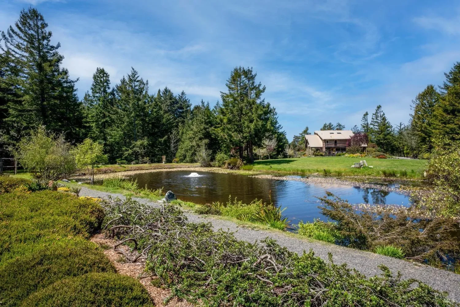 40811 Eureka Hill Road, Point Arena, California, United States. - Photo 47