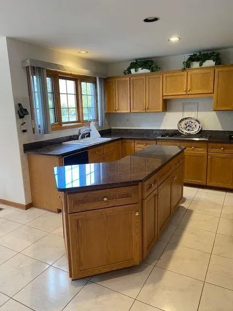 1292 W Windhill Drive, Palatine, Illinois, United States. - Photo 8