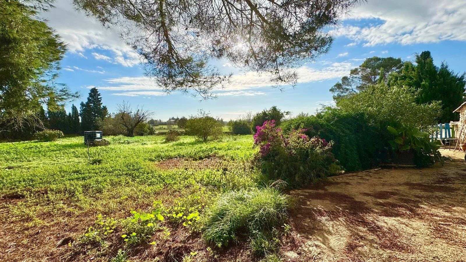 Inca, Baleares, Inca, Inca, Balearic Islands, Spain. - Photo 10