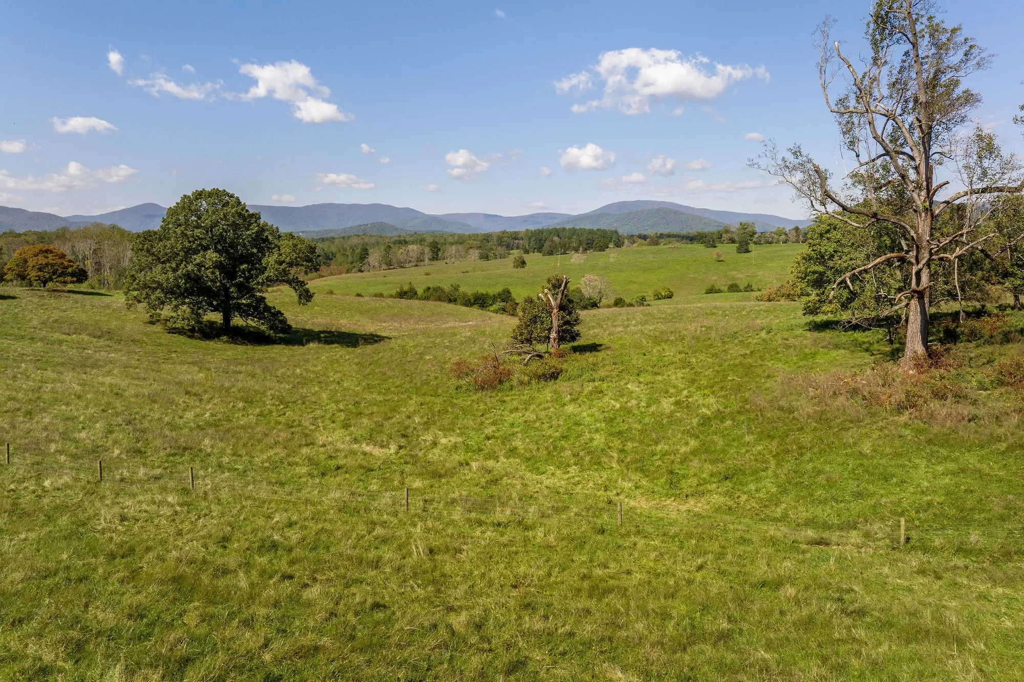 955 Simmons Gap Rd, Dyke, VA 22935, Dyke, Virginia, United States. - Photo 6