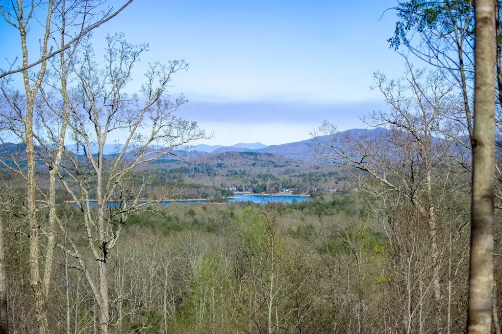41AC Loving Road, Blairsville, Georgia, United States. - Photo 6