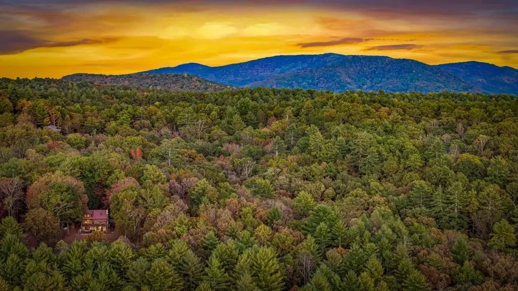 212 Dogpatch Lane, Blue Ridge, Georgia, United States. - Photo 3