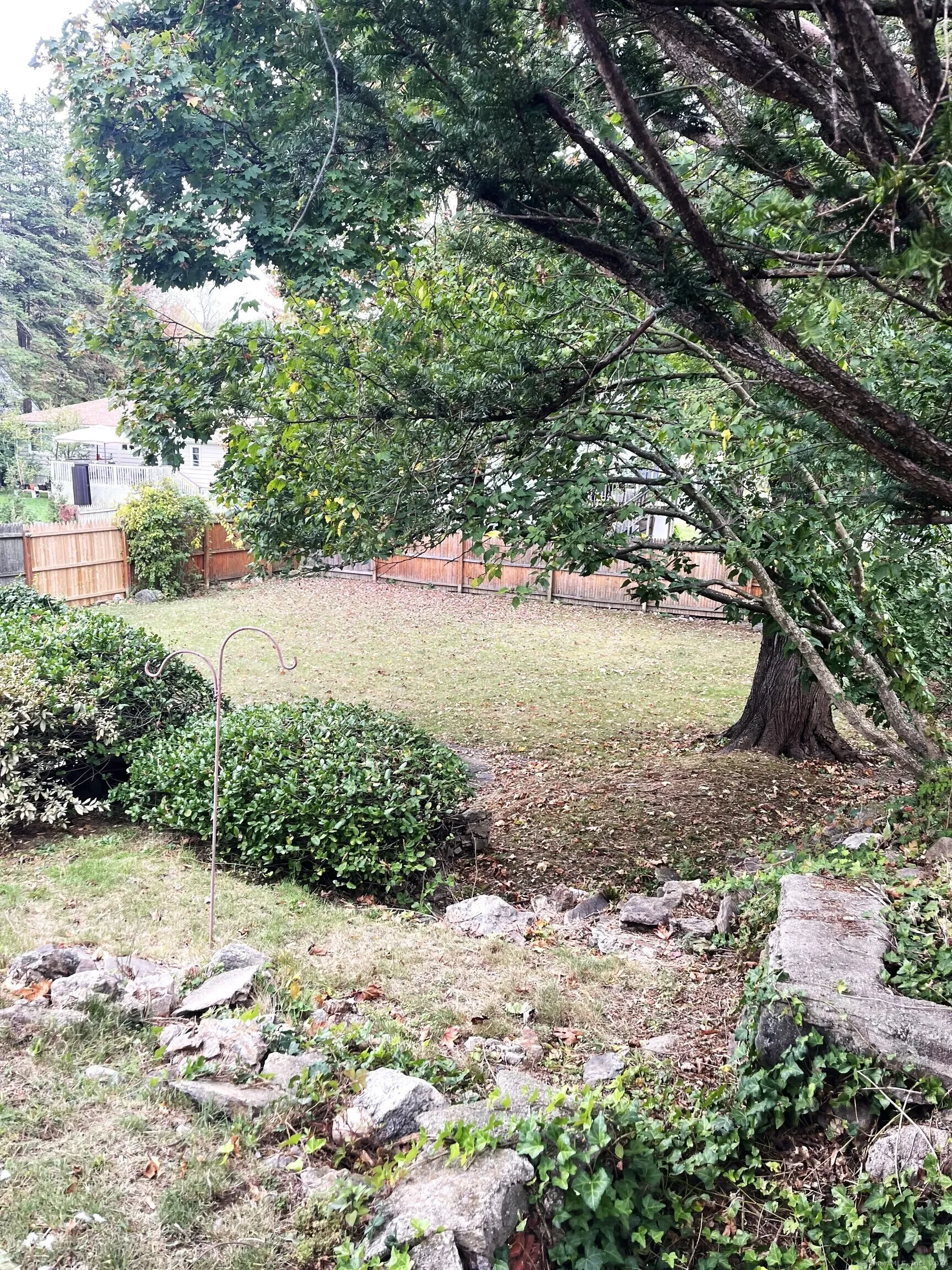 Gallery photo 11