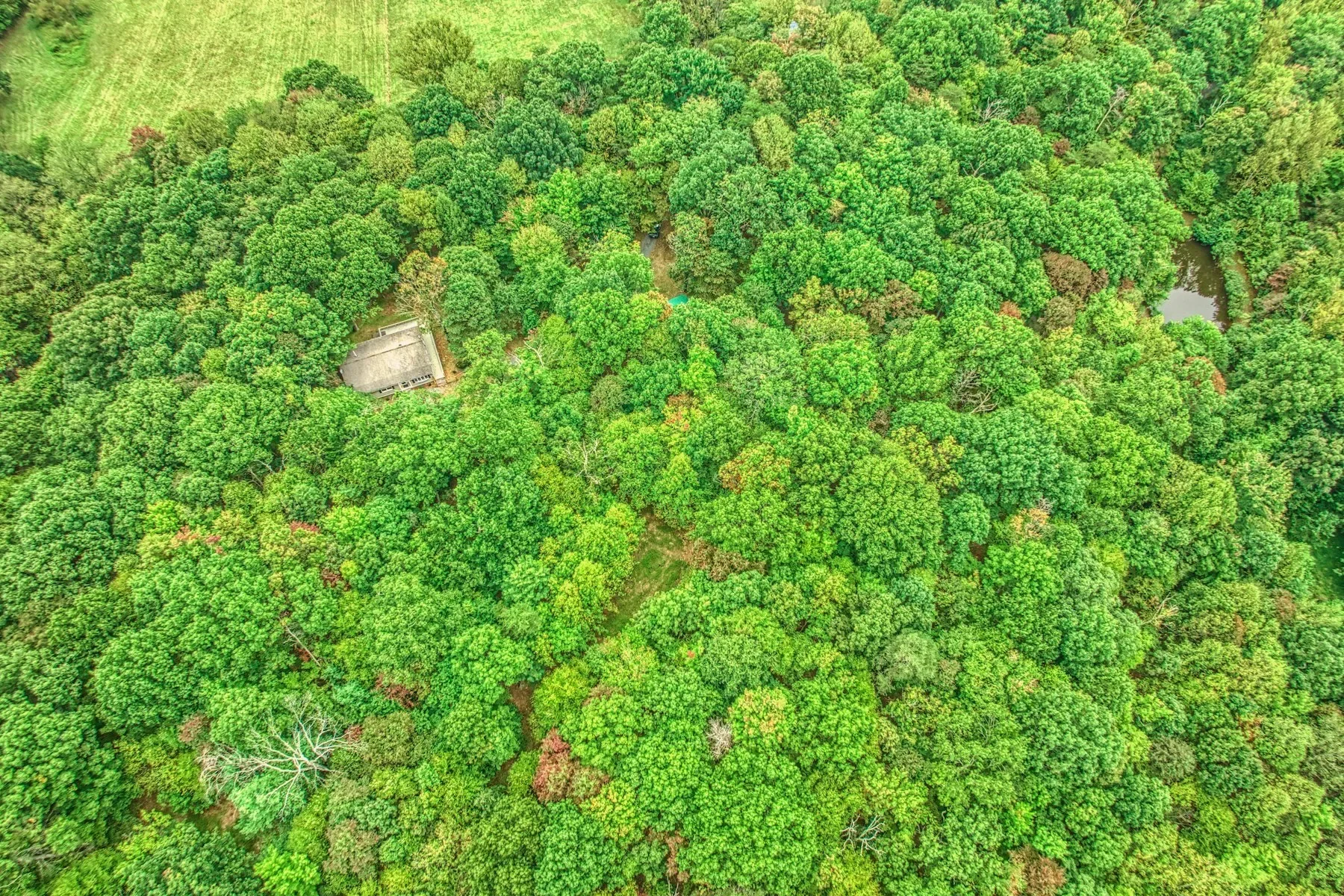 37740 Long Lane, Lovettsville, VA 20180, Lovettsville, Virginia, United States. - Photo 46