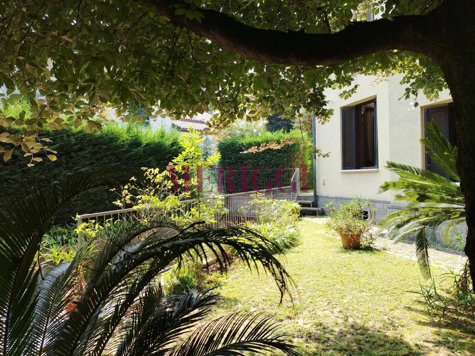 Viale dei Tigli, Cusano Milanino, Lombardy, Italy. - Photo 30