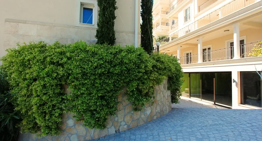 Herceg-Novi, Đenovići, Herceg Novi Municipality, Montenegro. - Photo 2