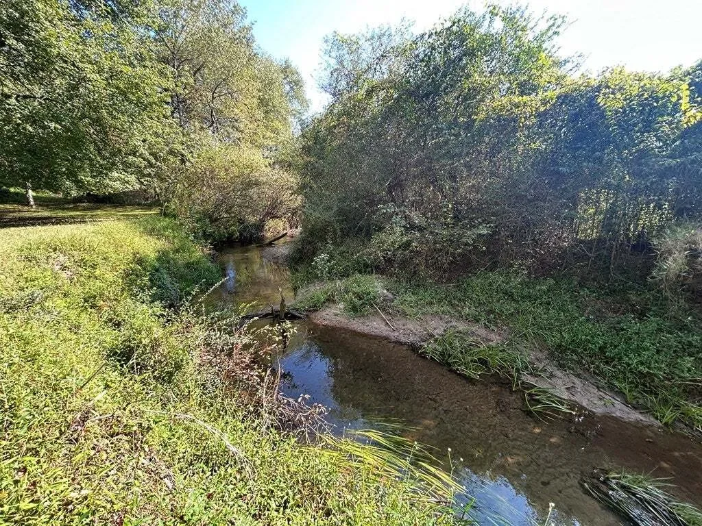 Gallery photo 6