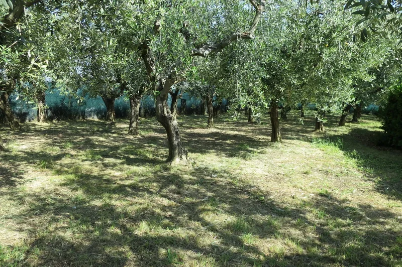 64025 Pineto, Province of Teramo, Italy, Pineto, Abruzzo, Italy. - Photo 11