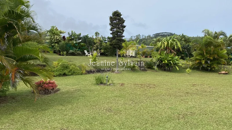 Toahotu, Toahotu, Taiarapu-Ouest, Windward Islands, French Polynesia. - Photo 5